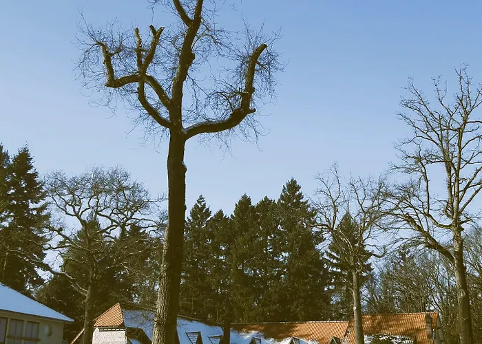 Du Lys מלון Lamorlaye